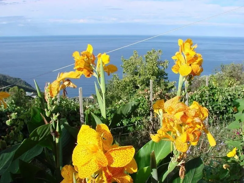 Case Vacanza Reggimonti Cinque Terre Bonassola Italy