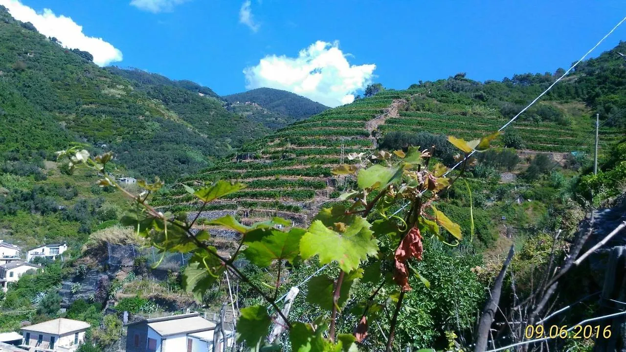 Case Vacanza Reggimonti Cinque Terre Bonassola Holiday home