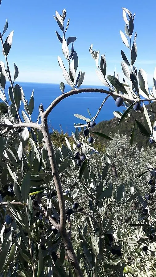 Case Vacanza Reggimonti Cinque Terre Bonassola